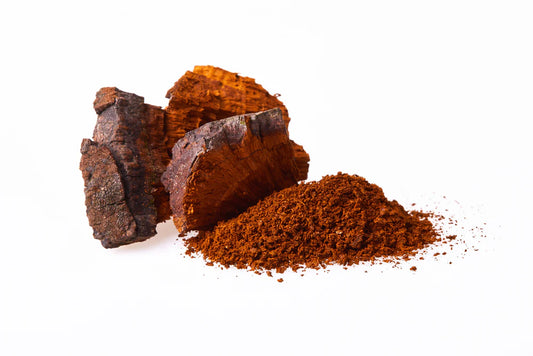 Chaga Mushroom