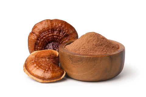 Reishi Mushroom